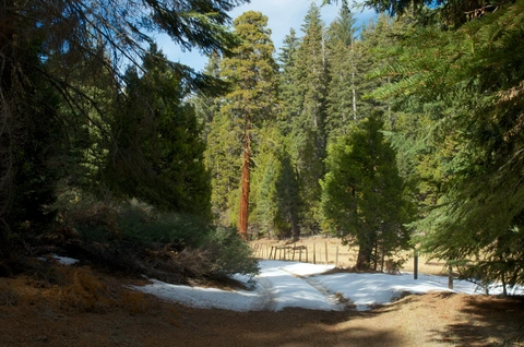 Dorst-Lost Grove Trail