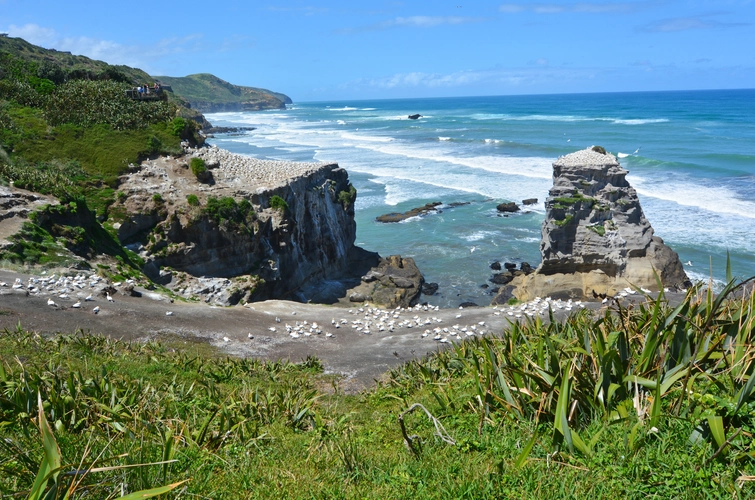 Motutara Recreation Reserve Walk