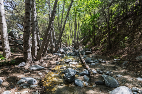 Arroyo Seco Loop