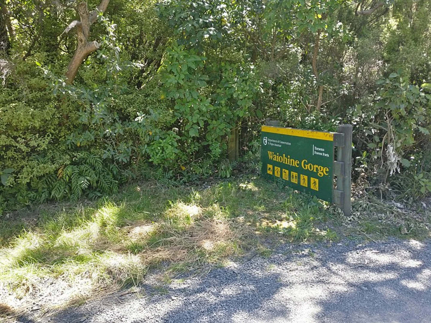 An image depicting the trail Waiohine - Cone Hut - Tutuwai Hut Loop and its surrounding area.