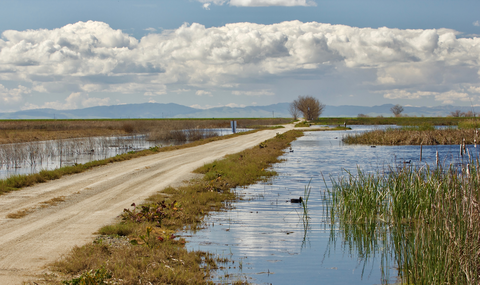 Kestrel Trail and Meadowlark Loop Trail