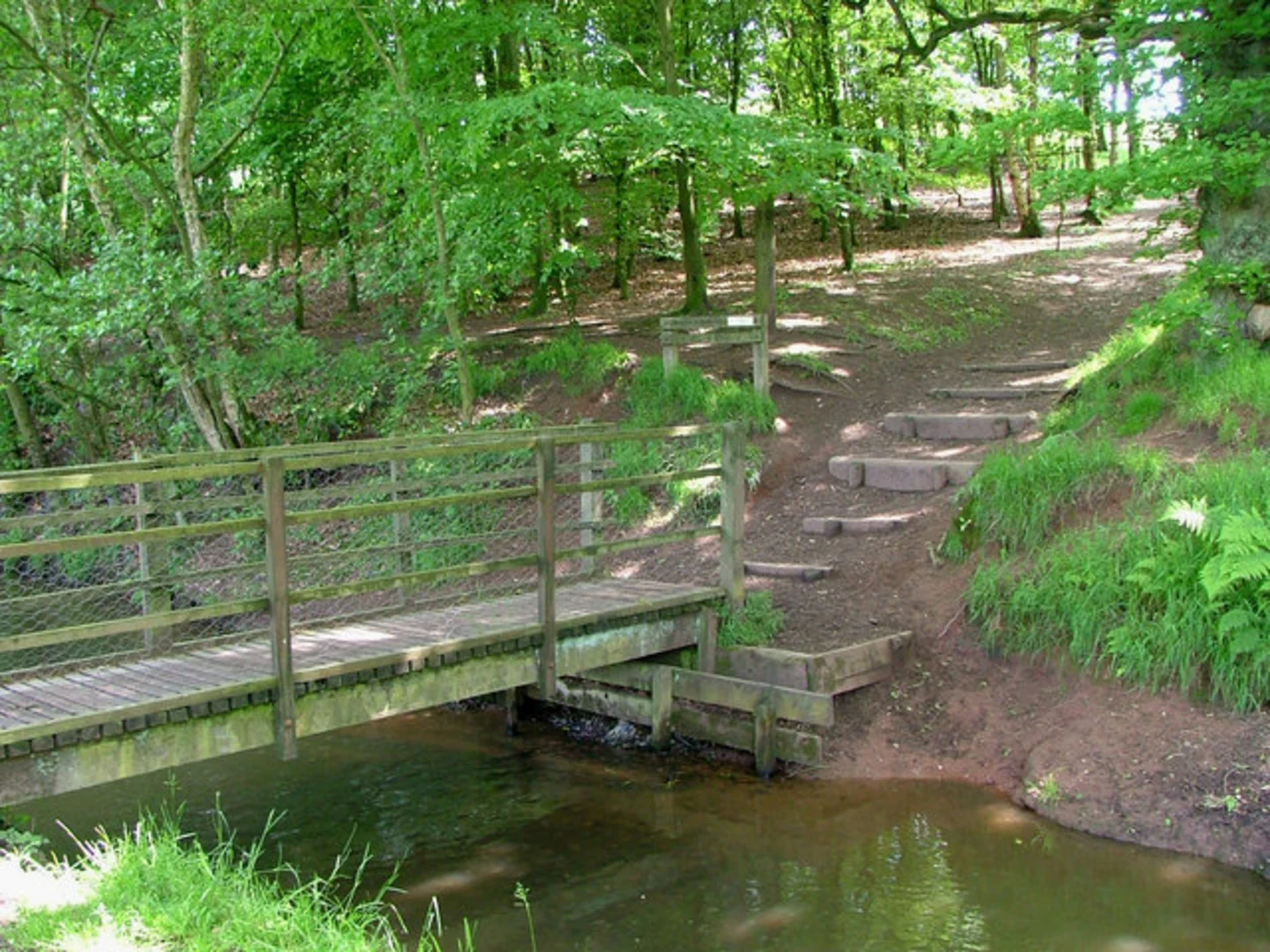 An image depicting the trail Ladderedge Country Park Loop and its surrounding area.