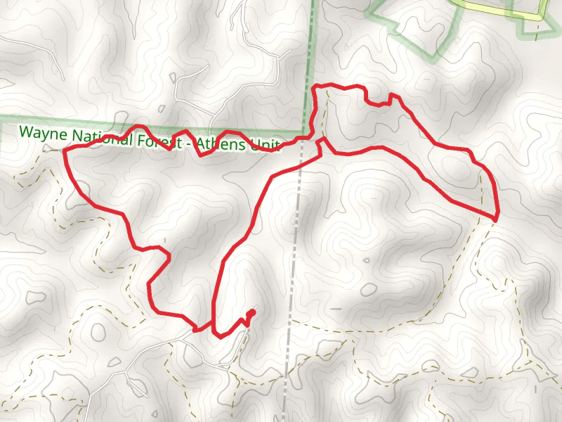 Door Run Loop and Timber Road Trail