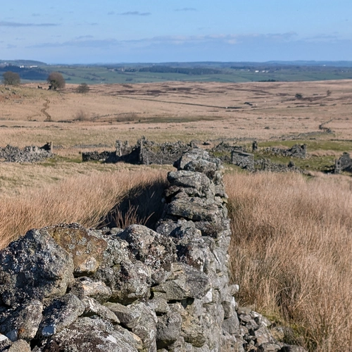 Cotherstone Moor Walk – Butter Stone, Freewill House and The Loups