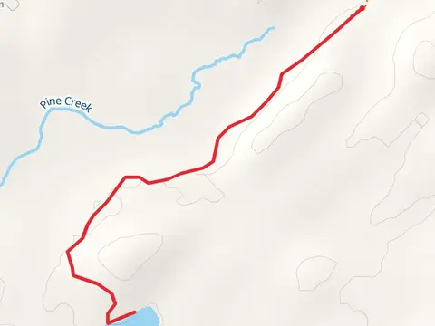 Panther Pond Trail