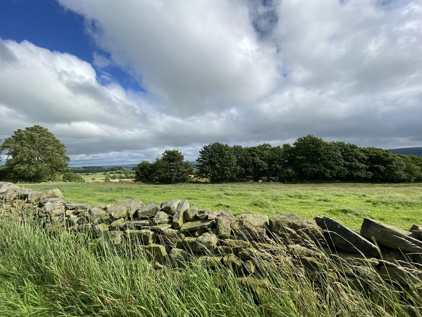 An image depicting the trail Welcome Way and its surrounding area.