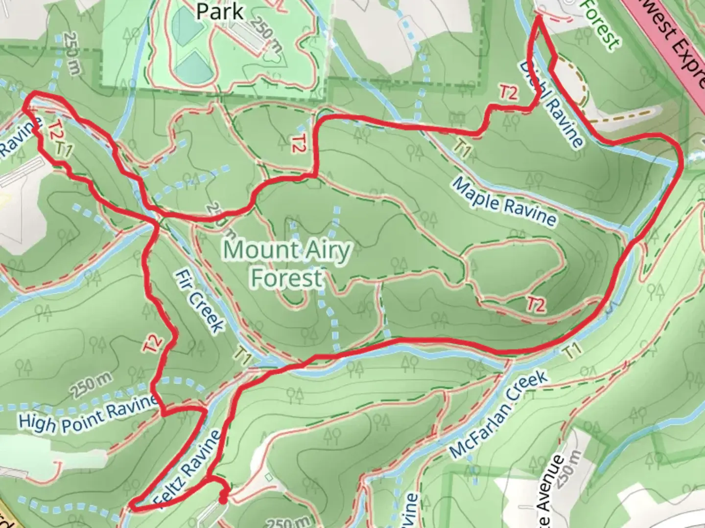An image depicting the trail McFarlan Woods Drive Loop - North and its surrounding area.