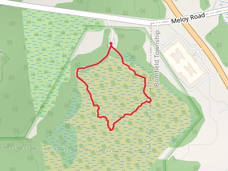 Tom S Cooperrider-Kent Bog State Nature Preserve Walking Path Loop