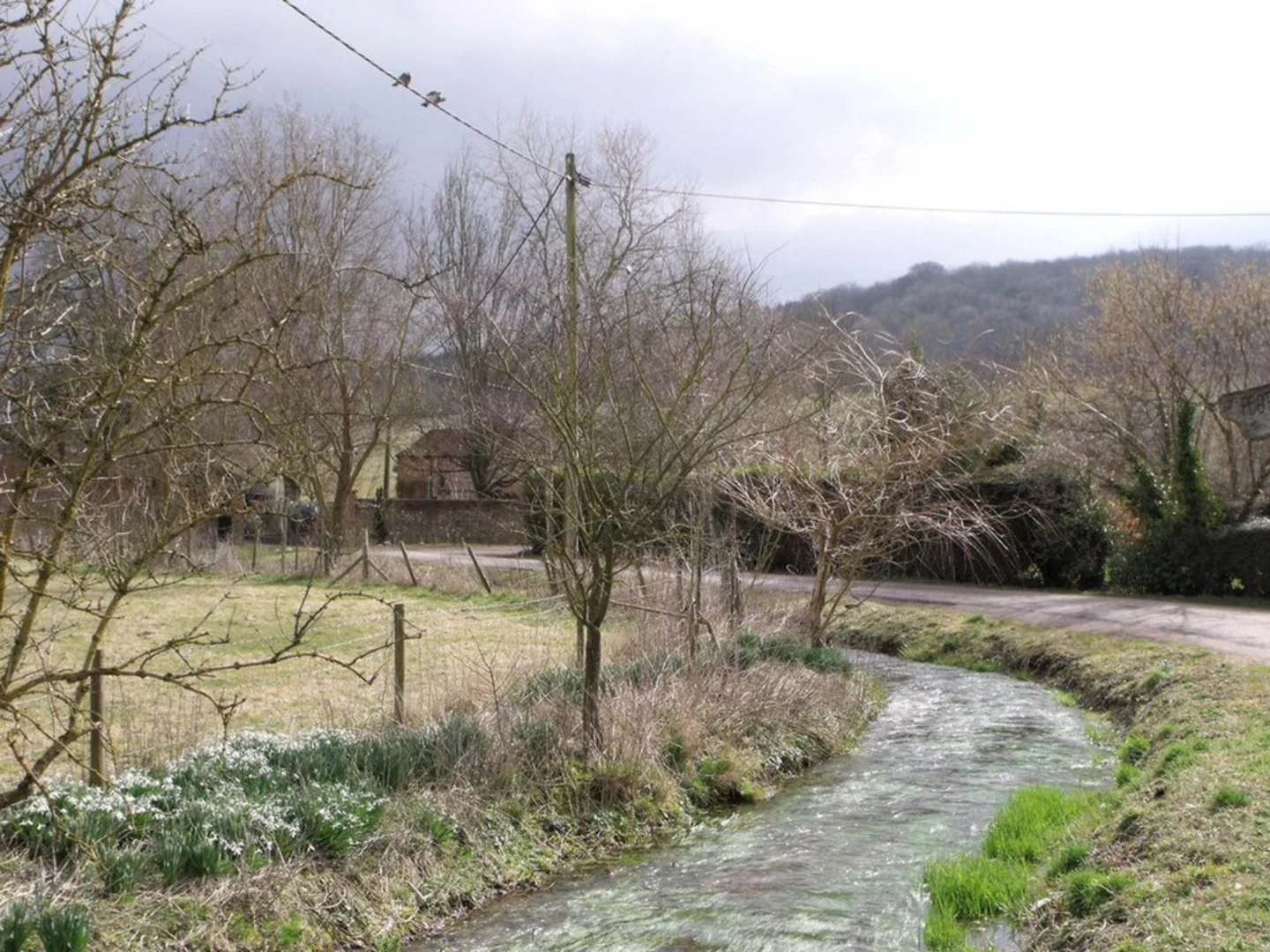 An image depicting the trail Hurstbourne Common and Wallop Hill Down Loop and its surrounding area.