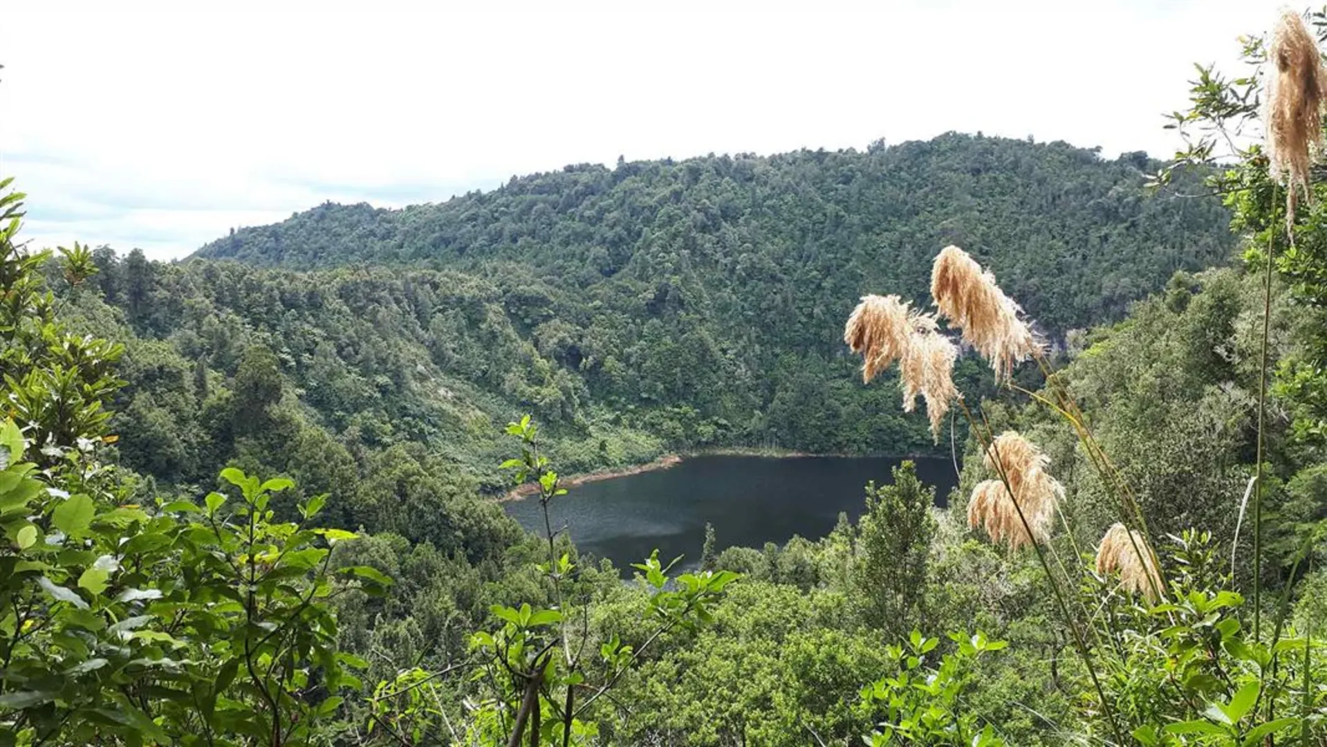 An image depicting the trail Ngahopua Track - Twin Lakes Track and its surrounding area.