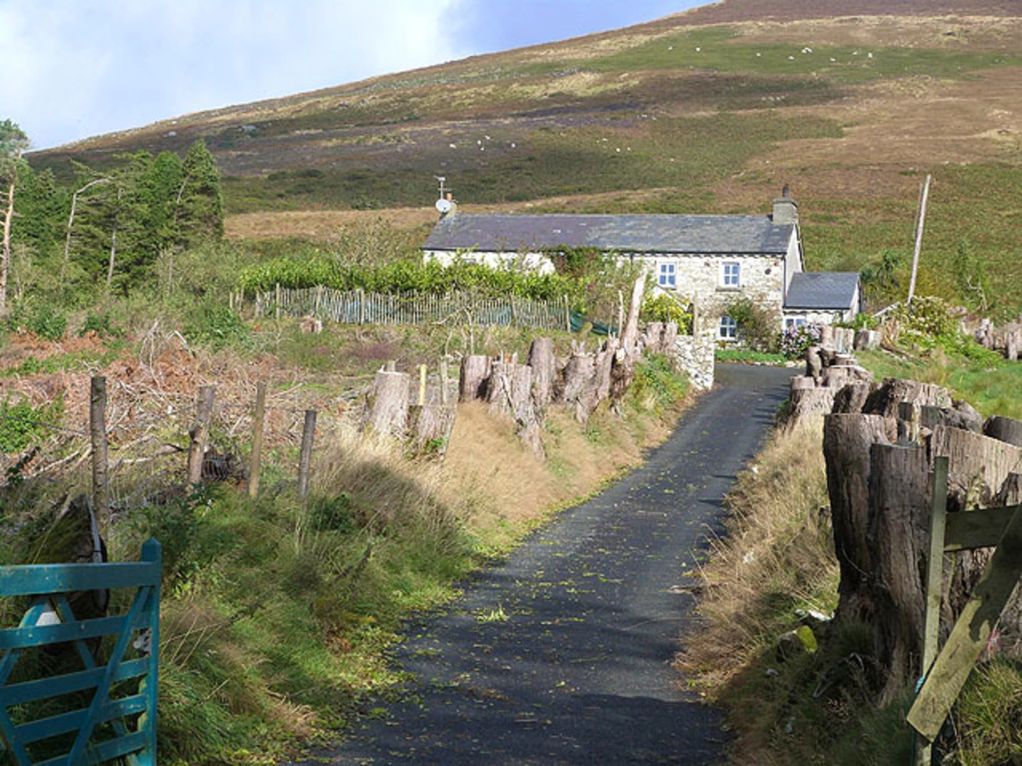 An image depicting the trail Croaghanmoira and Ballinacor Mountain Walk and its surrounding area.
