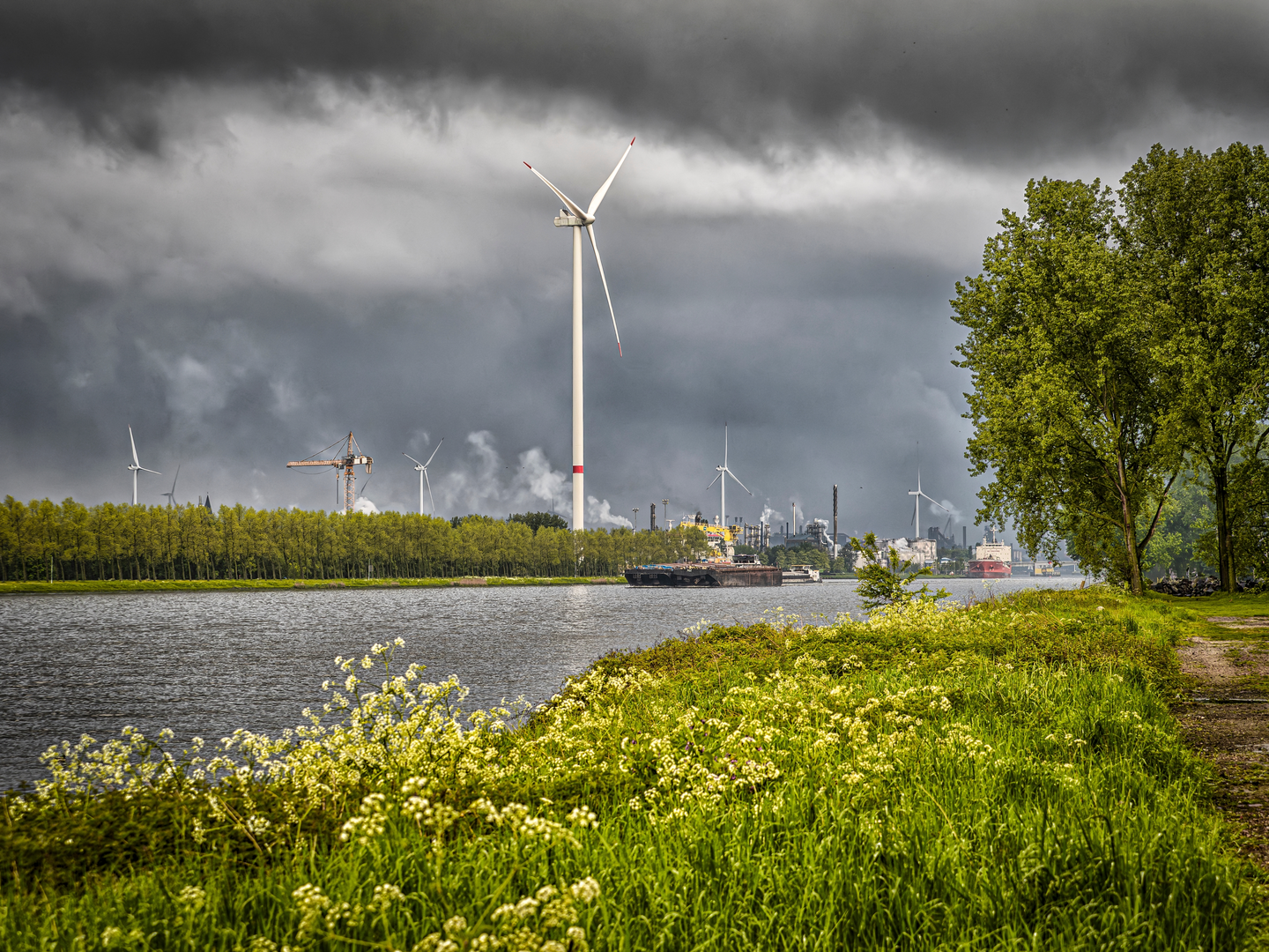 An image depicting the trail Molenkreek and Canisvlietsche Kreek Loop and its surrounding area.