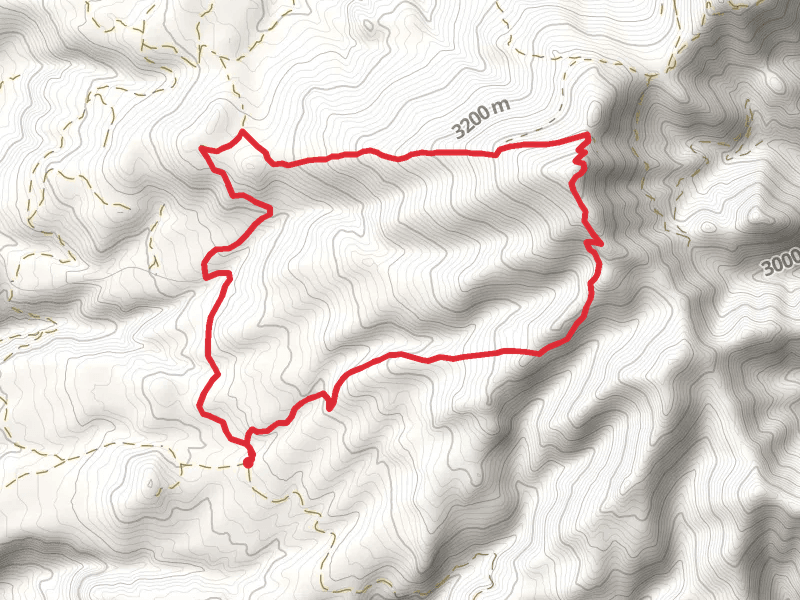 Mount Taylor Loop via Gooseberry Trail and CDT