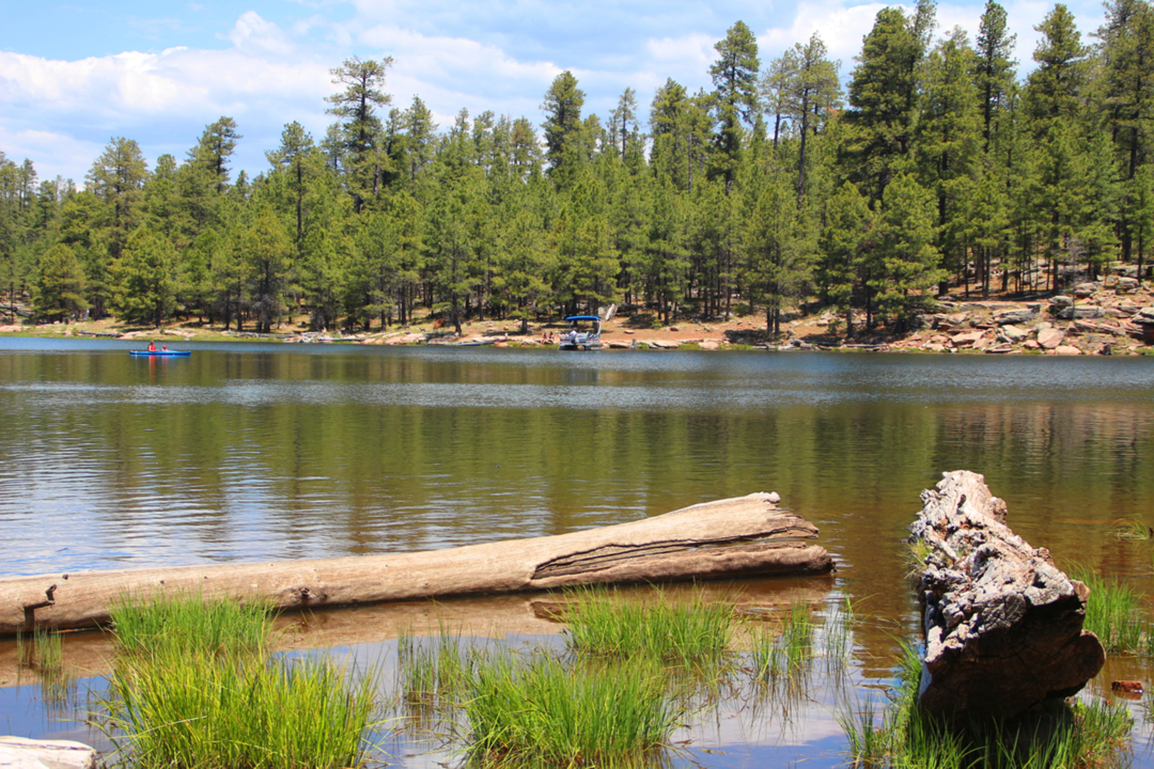 An image depicting the trail Woods Canyon Lake Trail and its surrounding area.