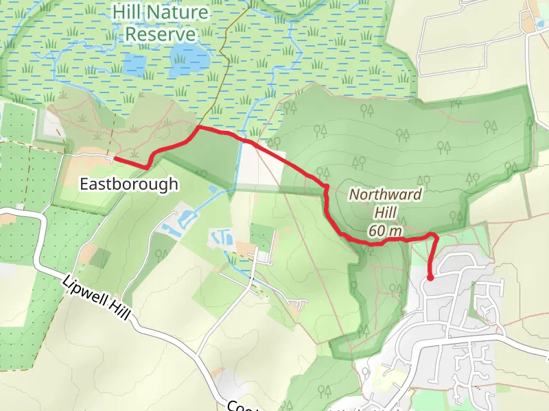Northward Hill Nature Reserve Walk