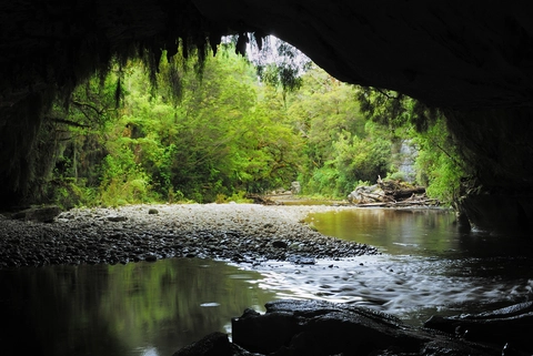 Ōpārara Valley Track