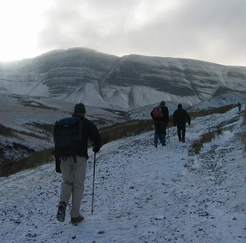 Carmarthen Fans Walk