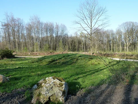 Preusbosch, Schimperbosch and Kerperbosch Loop