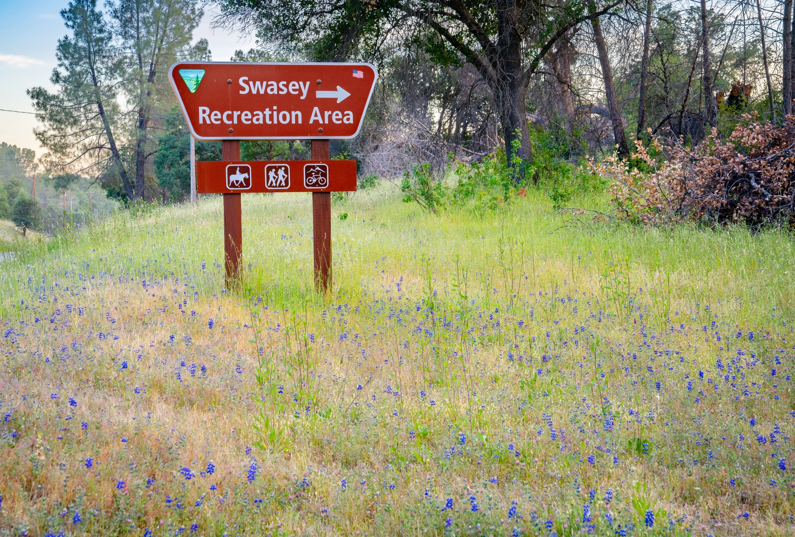 An image depicting the trail Muletown Road and its surrounding area.