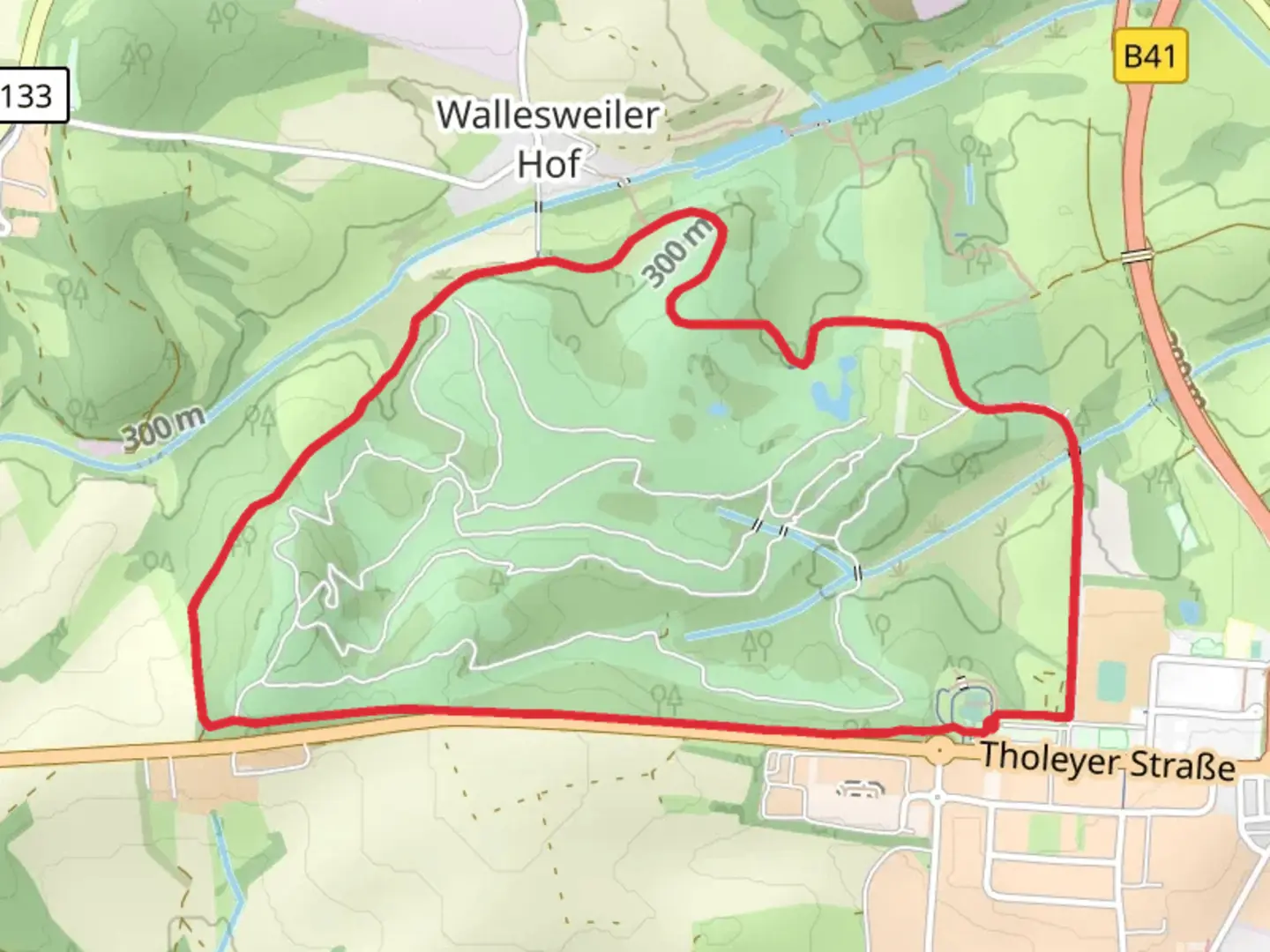An image depicting the trail Wendelinuspark Loop and its surrounding area.