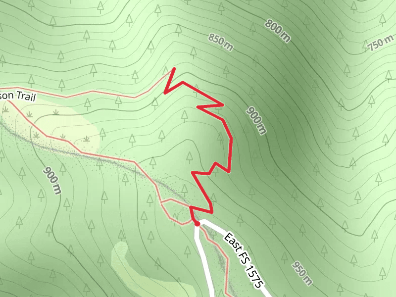Lost Man Trail