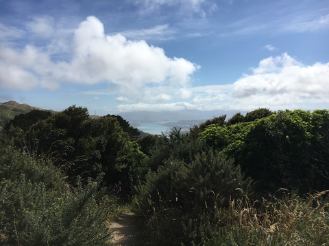 Te Ara Utiwai, Colonial Knob