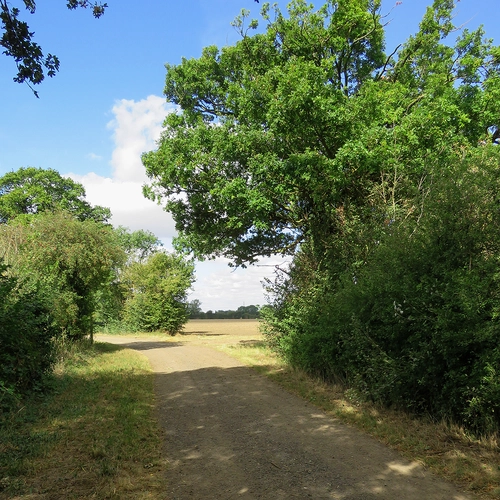 Anglesey Abbey Loop