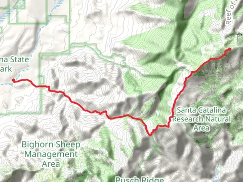 Mount Lemmon via Romero Trail and Lemmon Trail