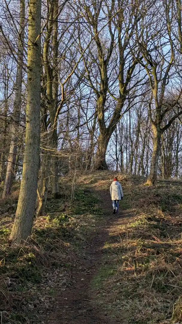 An image depicting the trail Beamish Heritage 100 - 1 and its surrounding area.