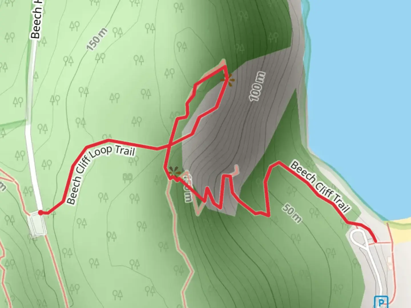 An image depicting the trail Beech Cliff Trail Loop and its surrounding area.