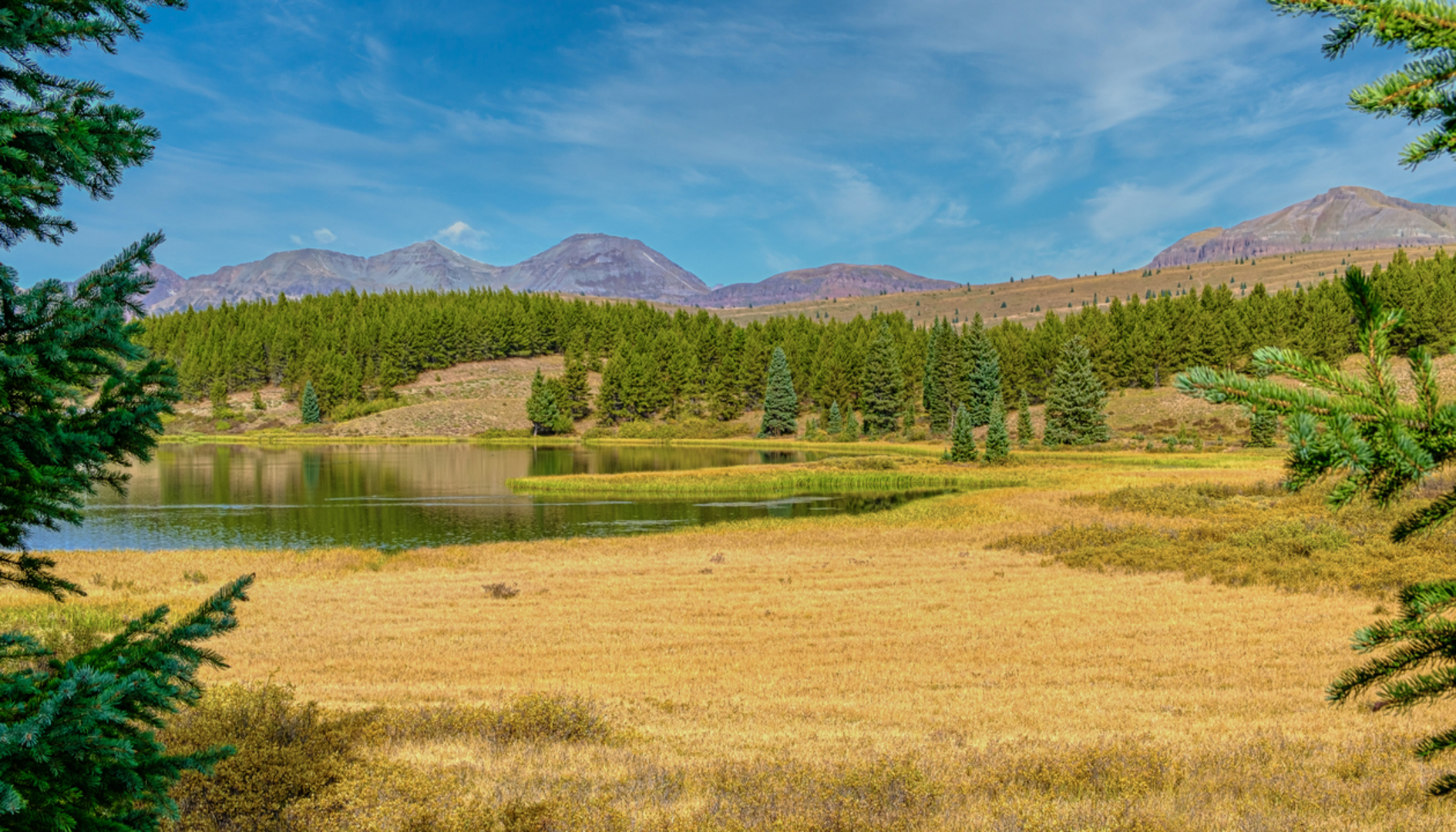 An image depicting the trail Andrews Lake Trail and its surrounding area.