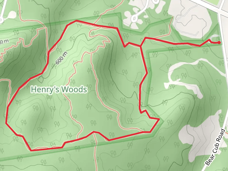 Henry's Woods Loop Trail