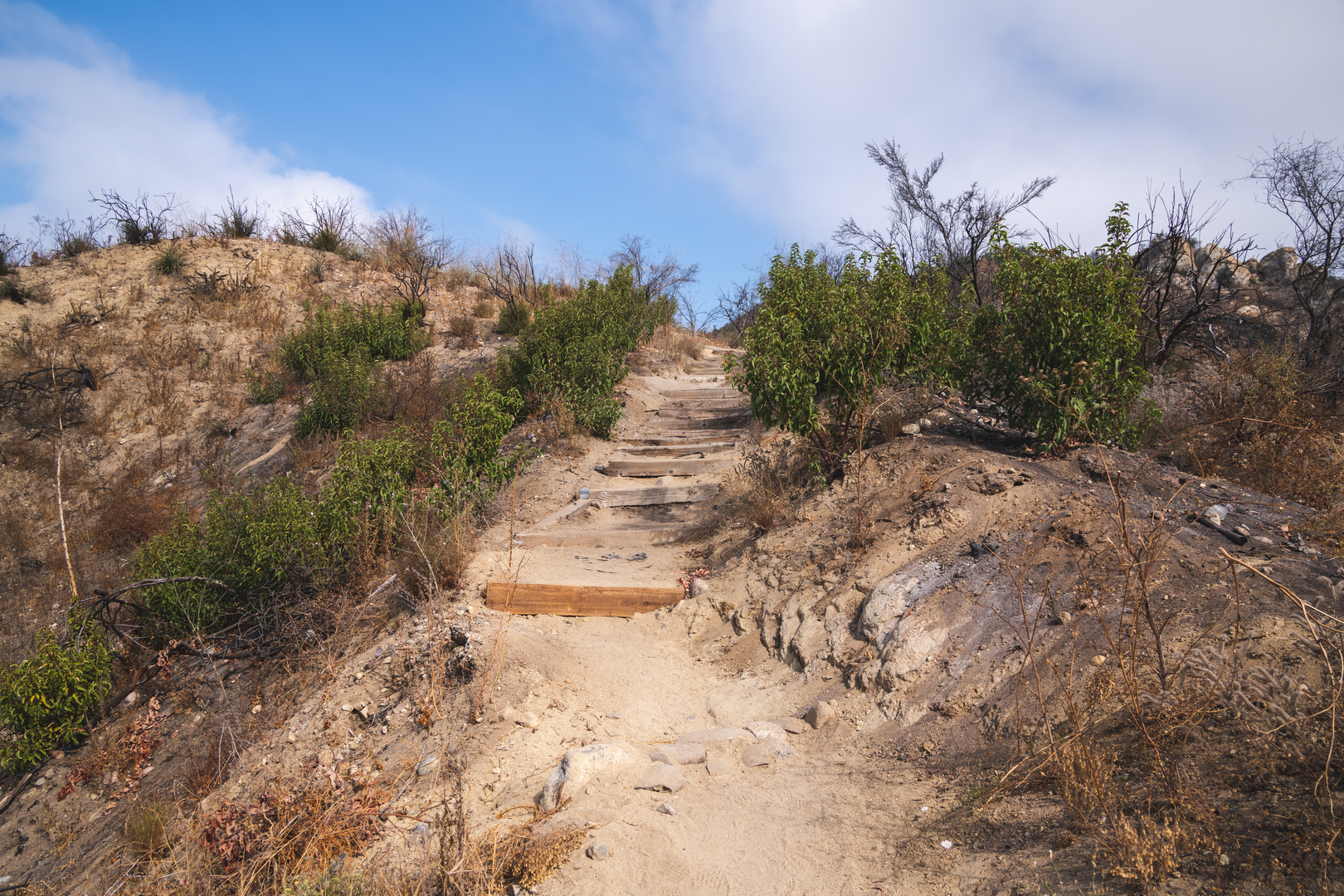 An image depicting the trail Red Rock Road and Topanga Ride Loop Trail and its surrounding area.