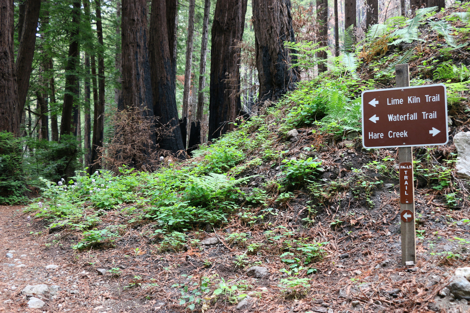 An image depicting the trail Limekiln Creek and Hare Creek and its surrounding area.