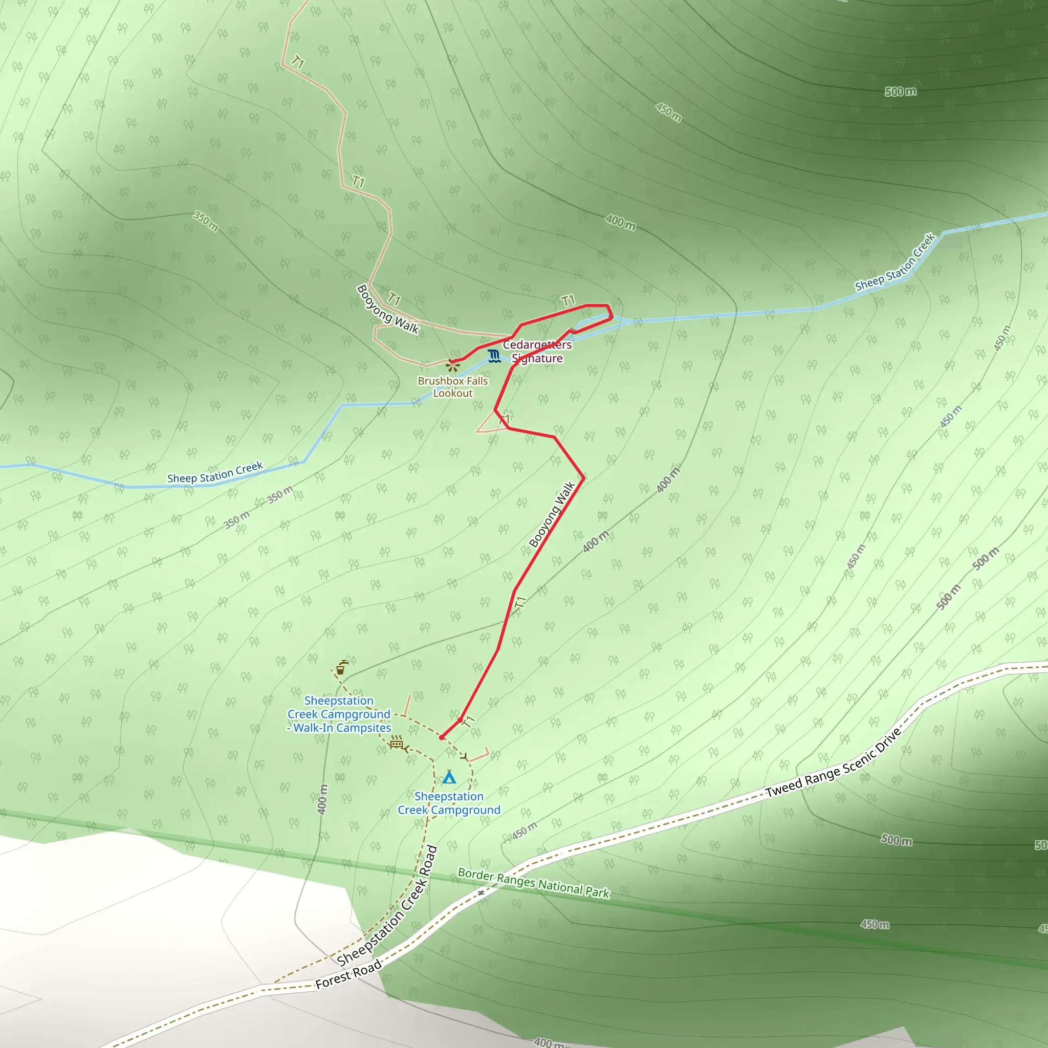 Palm Forest Track mobile static map
