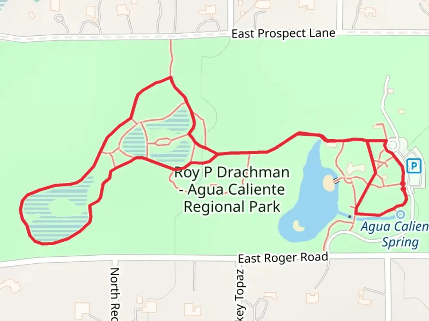 An image depicting the trail Roy P Drachman - Agua Caliente Regional Park Loop and its surrounding area.