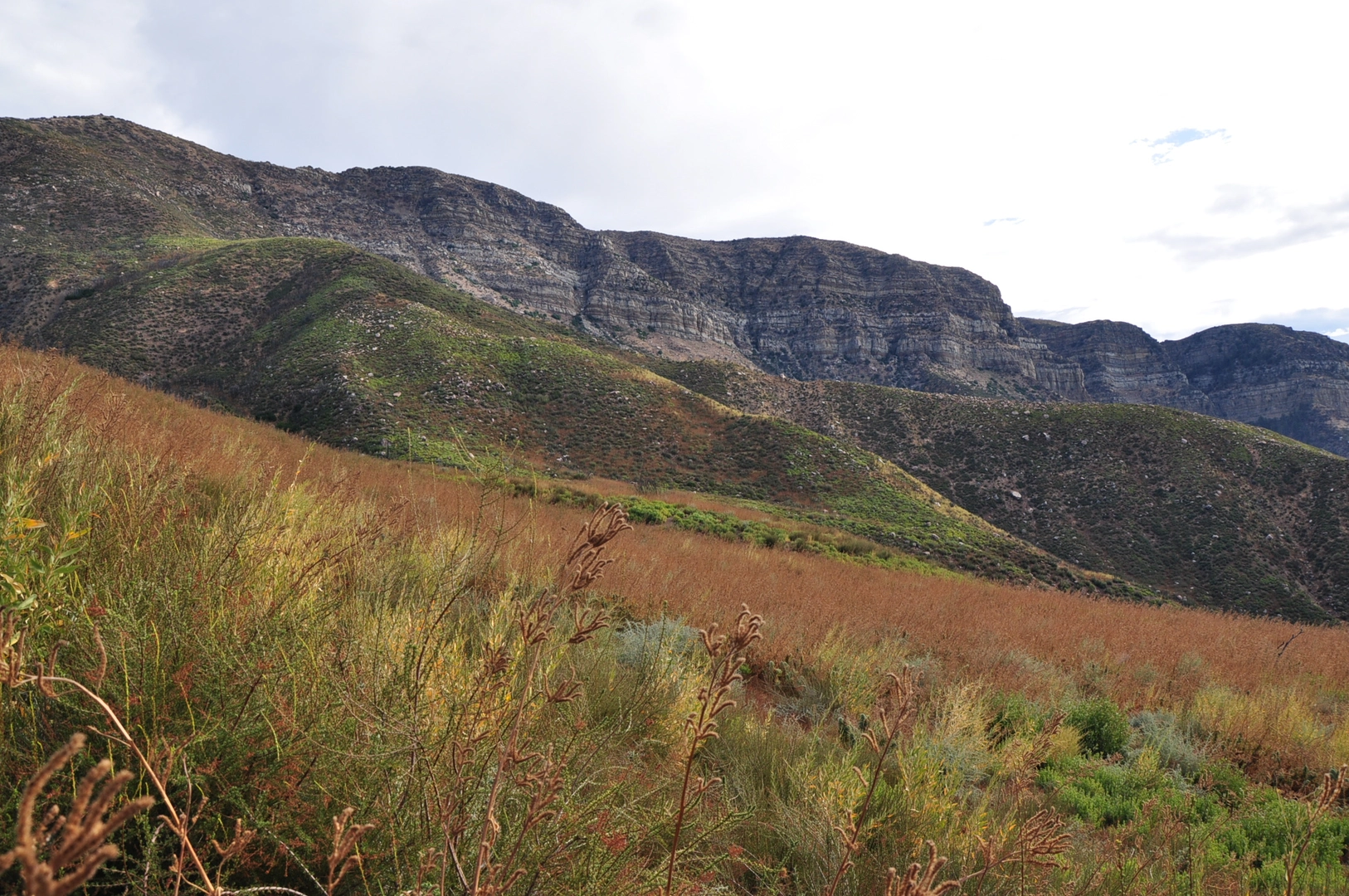 An image depicting the trail Topatopa Bluff and its surrounding area.