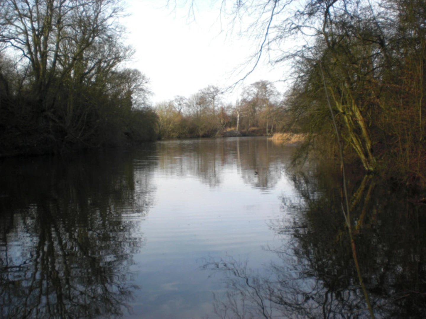 An image depicting the trail Park Lime Pits LNR and Riddian Bridge and its surrounding area.