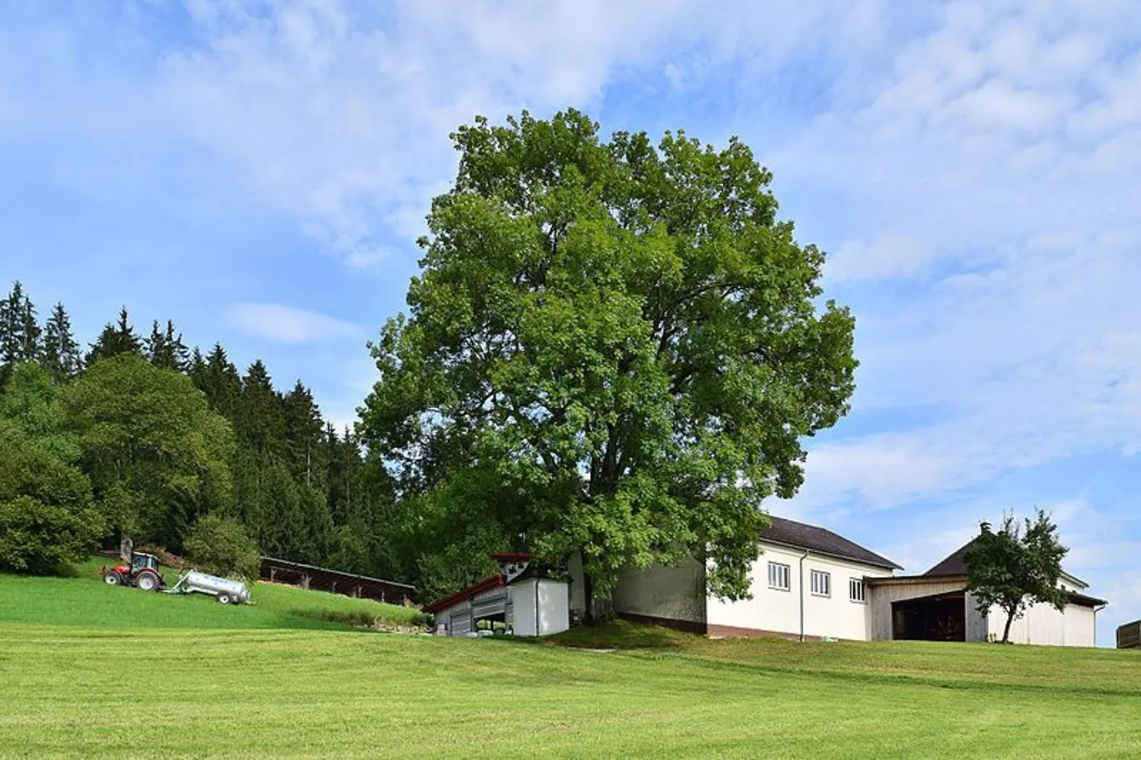 An image depicting the trail Wendenstein Way and its surrounding area.