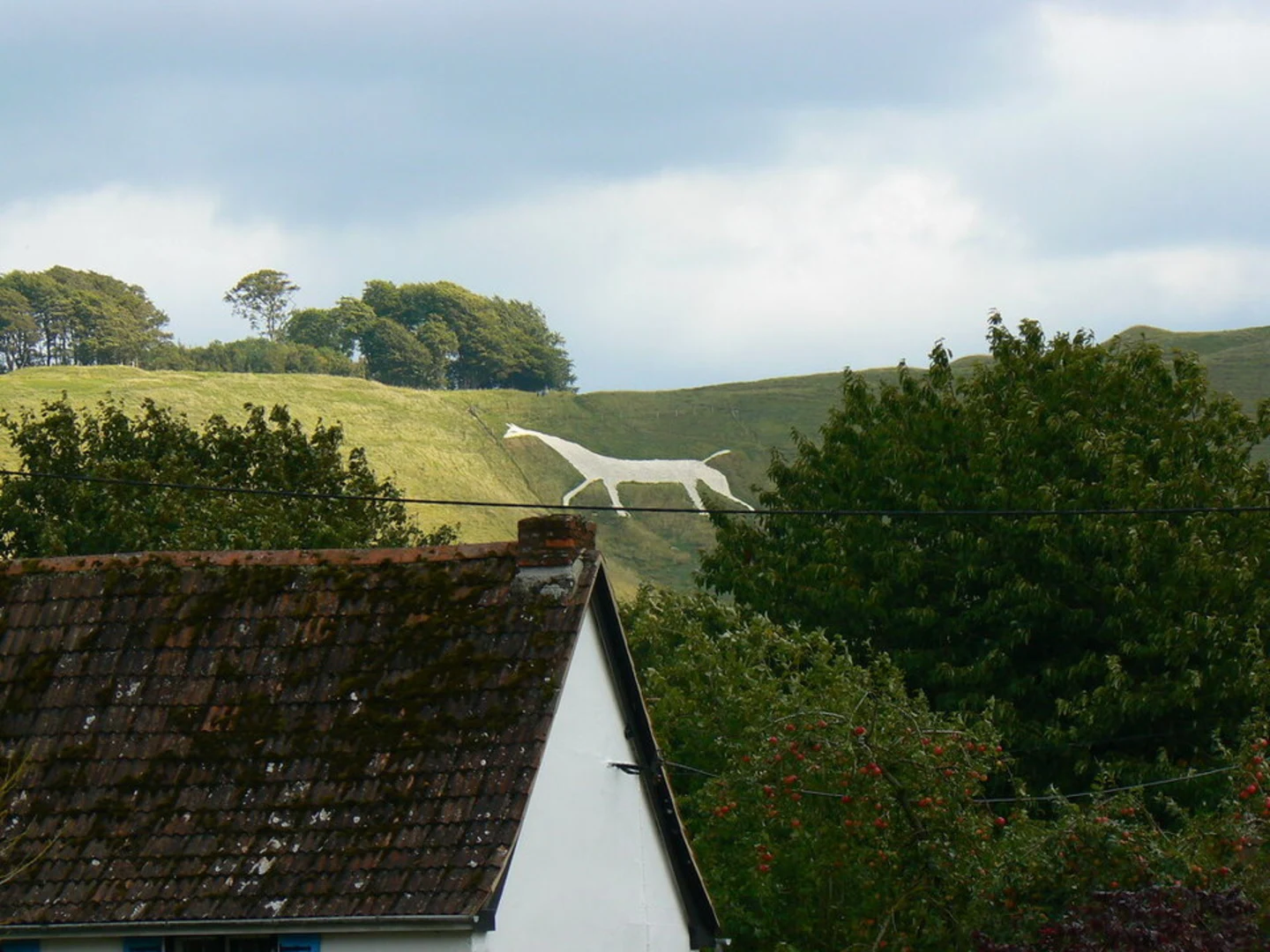 An image depicting the trail Cherhill White Horse Loop and its surrounding area.