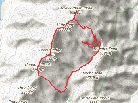 Forked Ridge Know and Greybeard Mountain Loop Trail