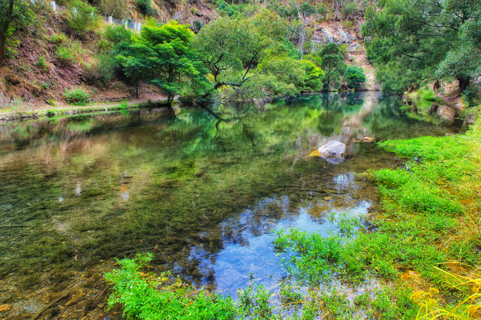 An image depicting the trail Jenolan River Track and its surrounding area.