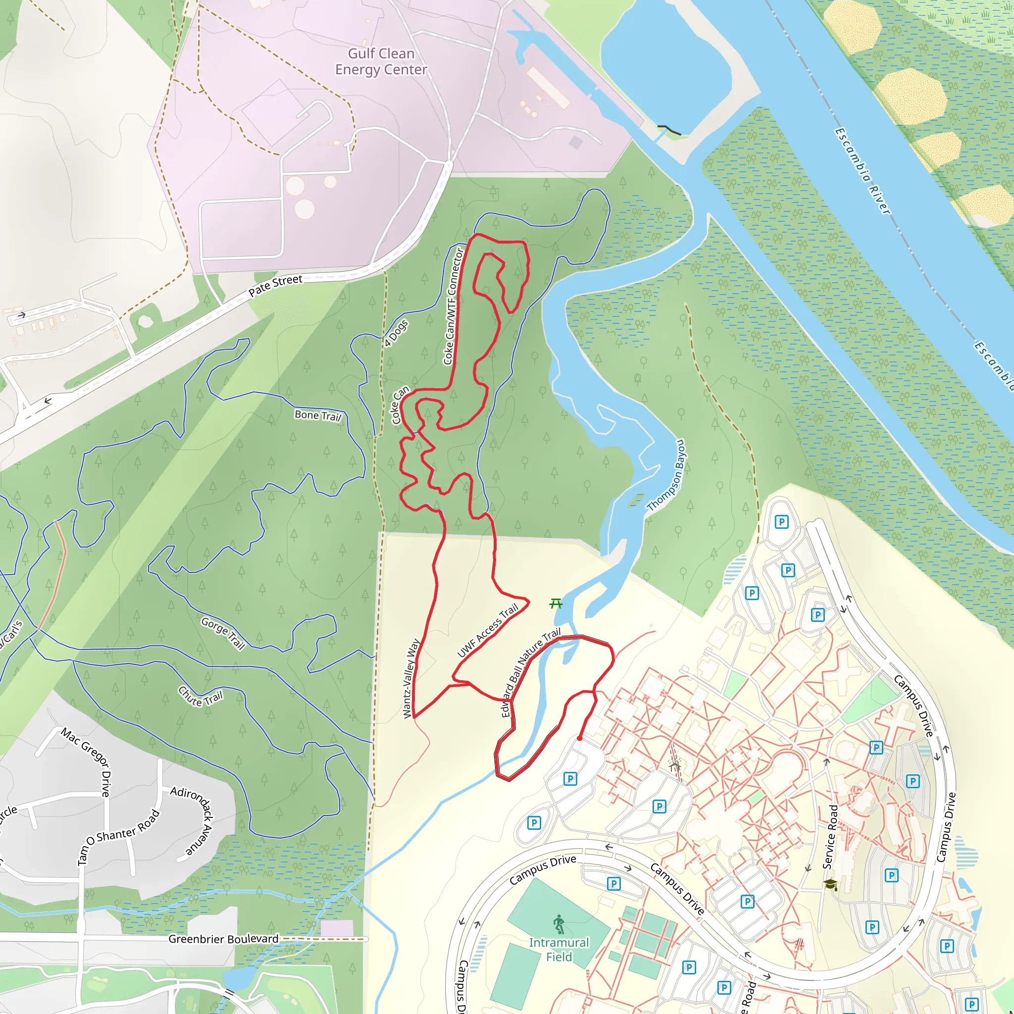 Edward Ball Nature Trail Loop mobile static map