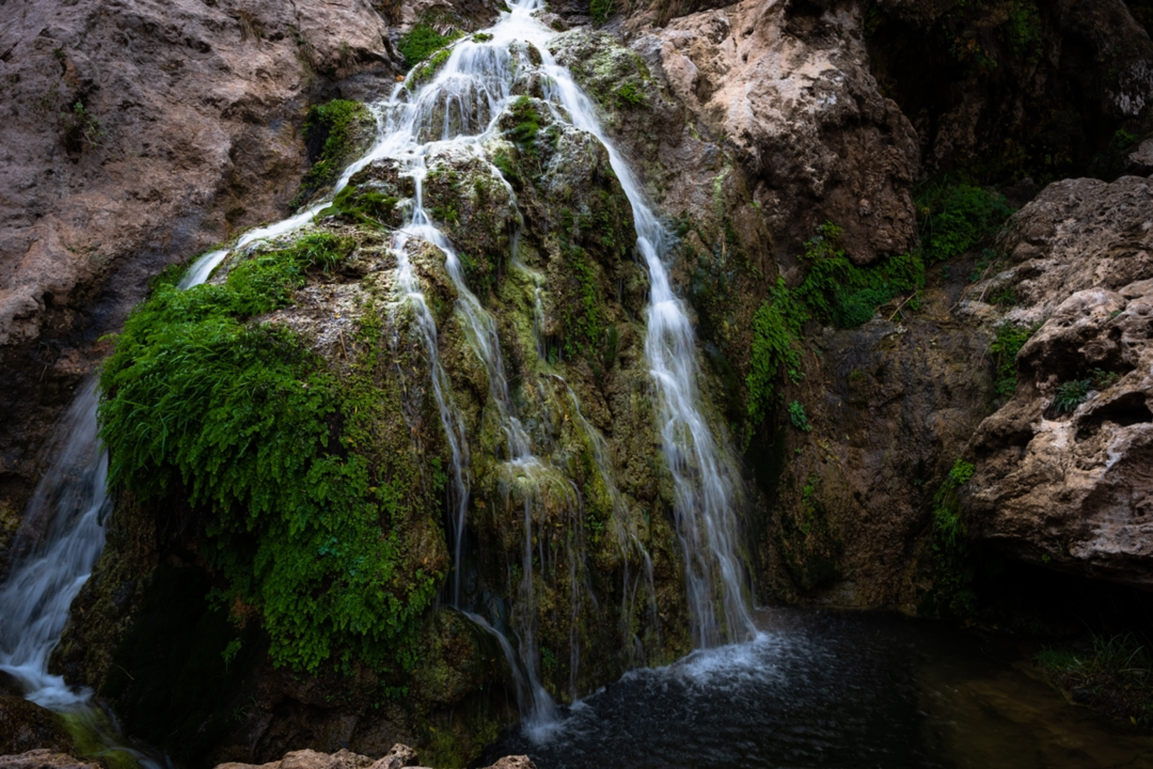An image depicting the trail Stitting Bull Falls Trail and its surrounding area.