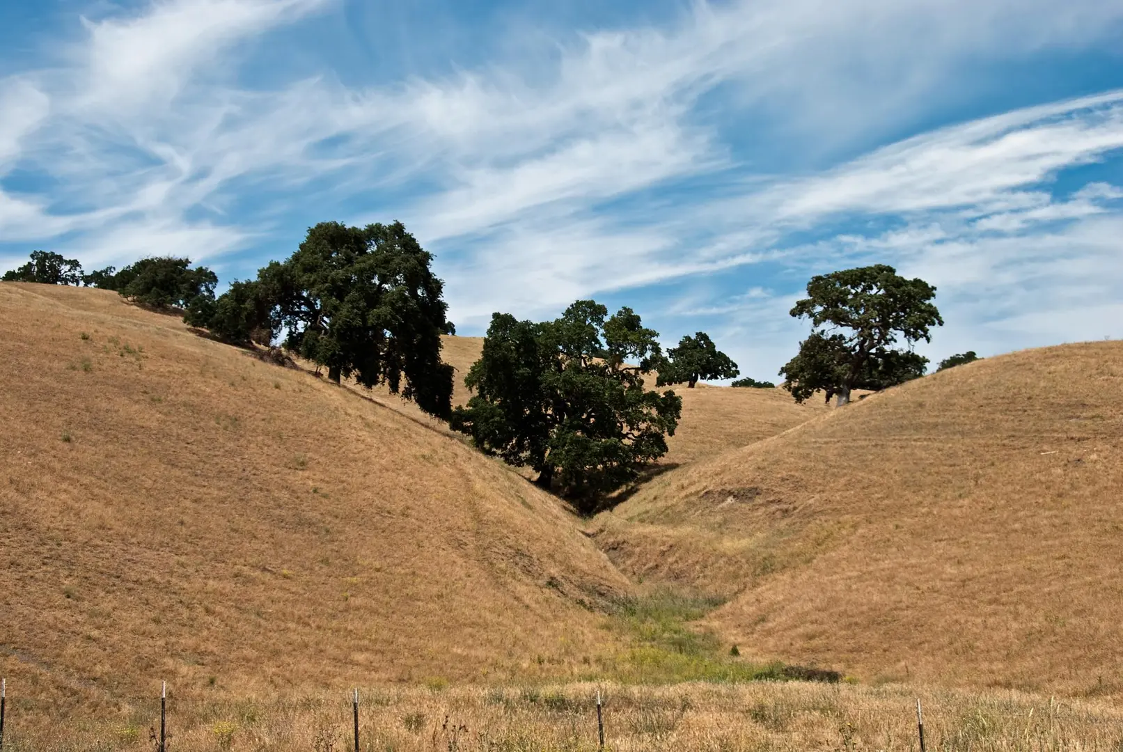 An image depicting the trail Sand Hill Trail and its surrounding area.