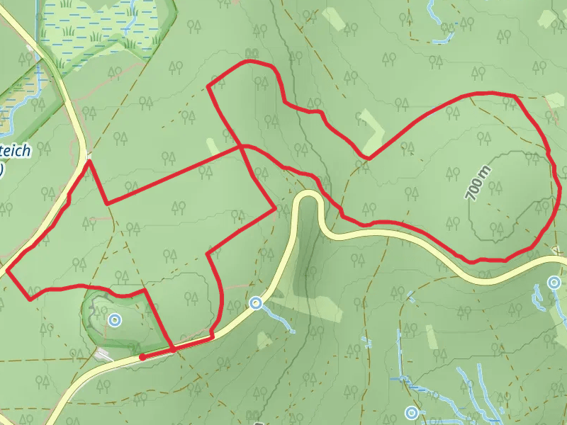 Bismarckturm Schotten Loop