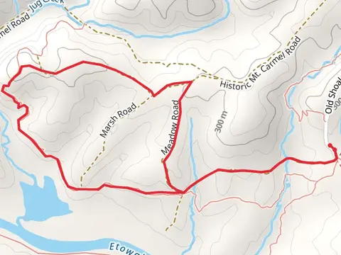 Jug Creek Loop from Johnson Trail