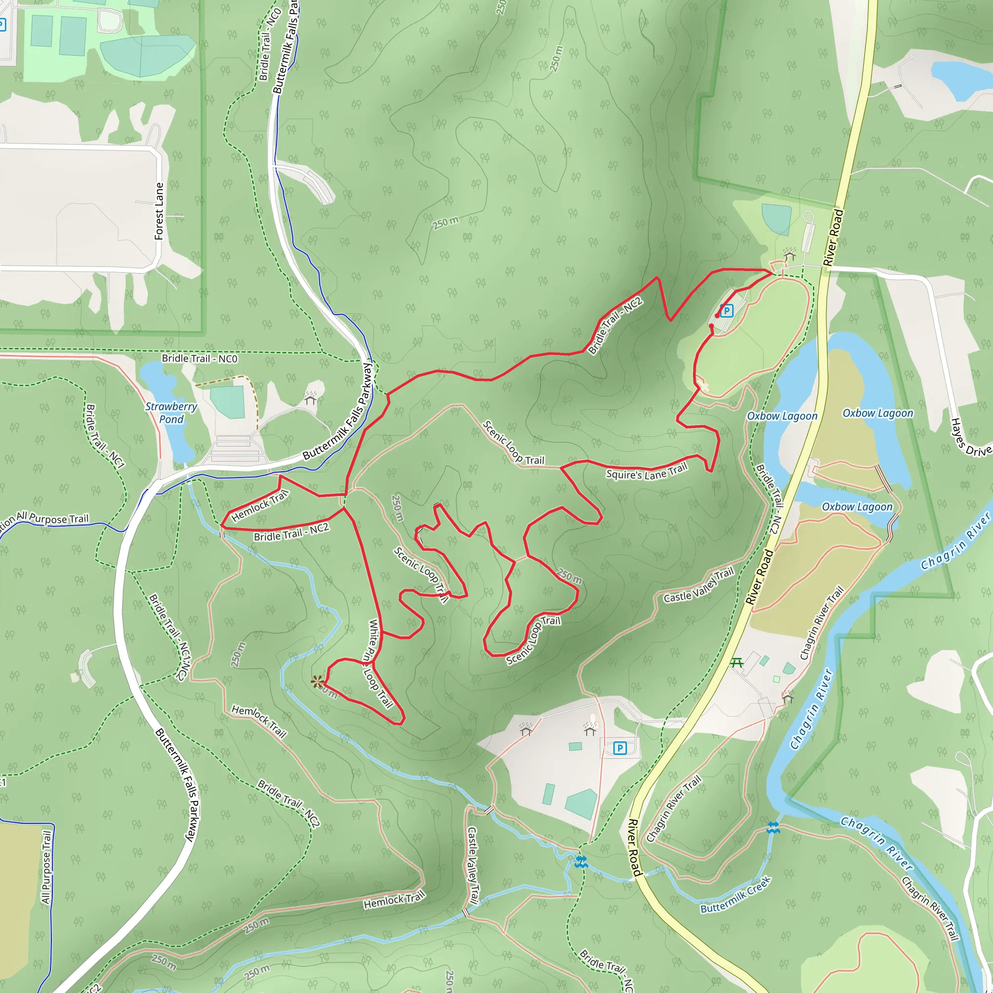 Squire's Lane Trail, Bridle Trail and White Pine Loop Trail mobile static map