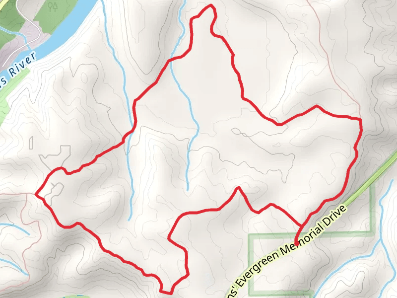 Spruce Loop Trail