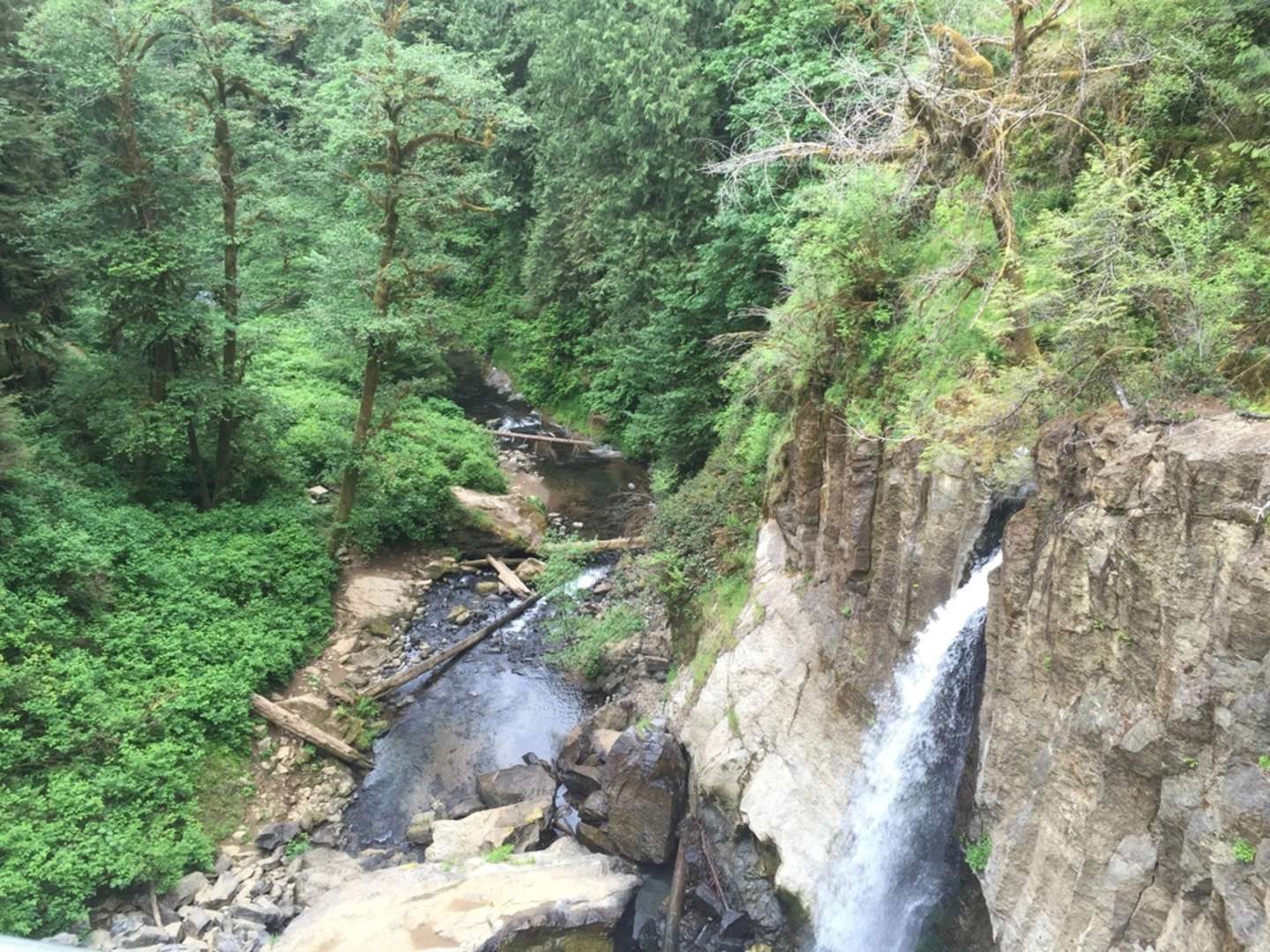 An image depicting the trail Horse Creek South Trail and its surrounding area.